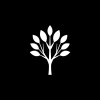 SaaS Branch